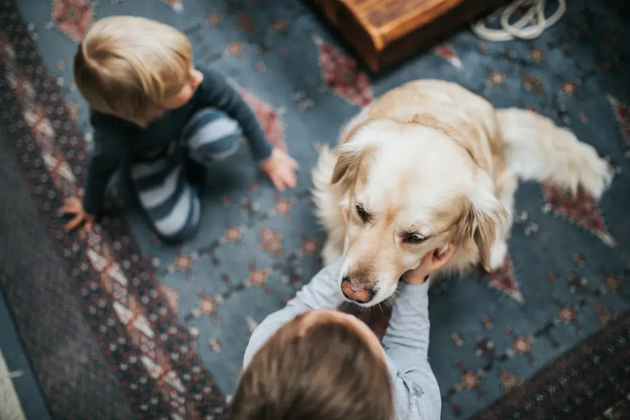 Niños con su mascota