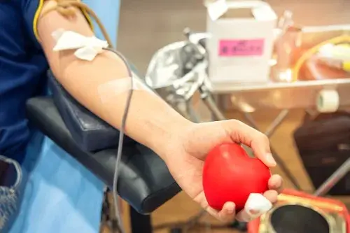 Día Mundial del Donante de Sangre: requisitos, preparación y razones para donar