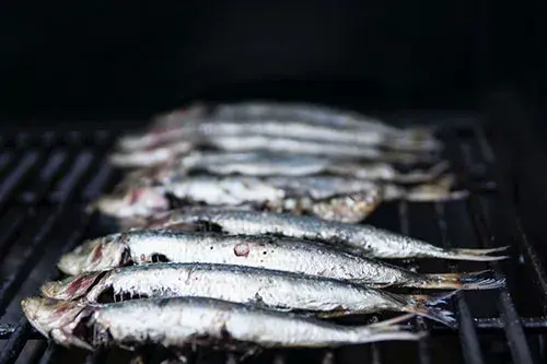 Posa sardines a la vida!